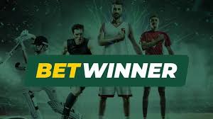 BetWinner Betting Platform Your Ultimate Guide to Online Betting